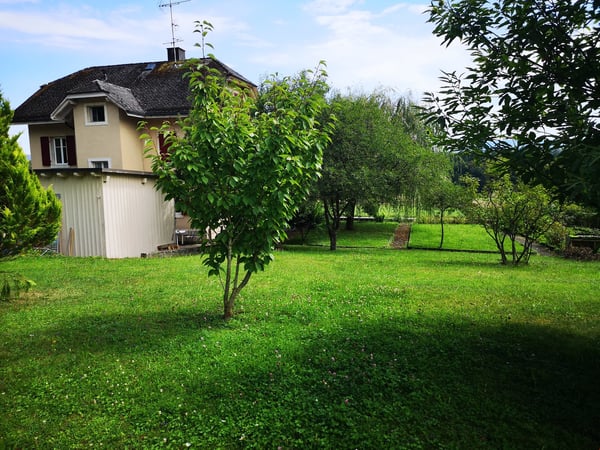 Immeuble complètement loué de 3 appartements avec réserve de terrain à bâtir 2