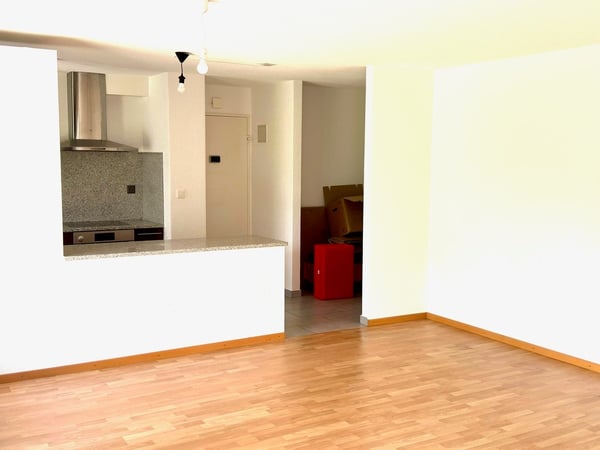 Prix baissé : appartement-terrasse avec cuisine ouverte sur le salon, quartier calme 10