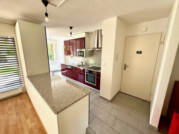 Prix baissé : appartement-terrasse avec cuisine ouverte sur le salon, quartier calme 6