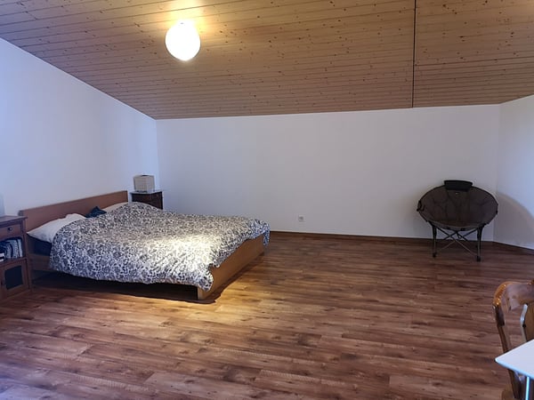 Grande maison familiale de 2.5 pièces à Lajoux, possibilité gestion chambres d'hôtes 40