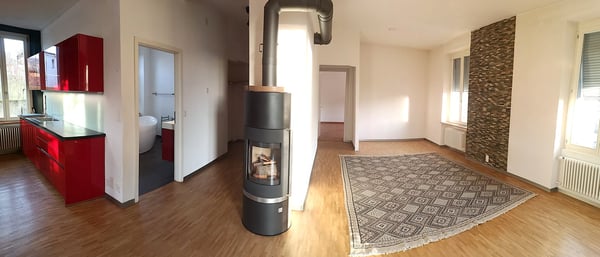 Magnifique maison individuelle ou plurifamiliale avec garage, places de parc, terrasses, jardin 19