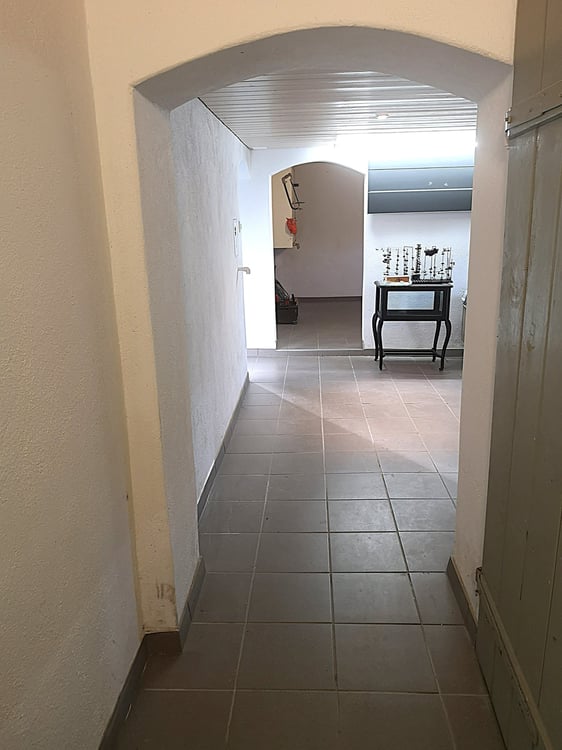 Magnifique maison individuelle ou plurifamiliale avec garage, places de parc, terrasses, jardin 8