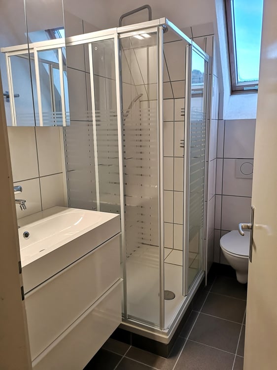 Magnifique maison individuelle ou plurifamiliale avec garage, places de parc, terrasses, jardin 39
