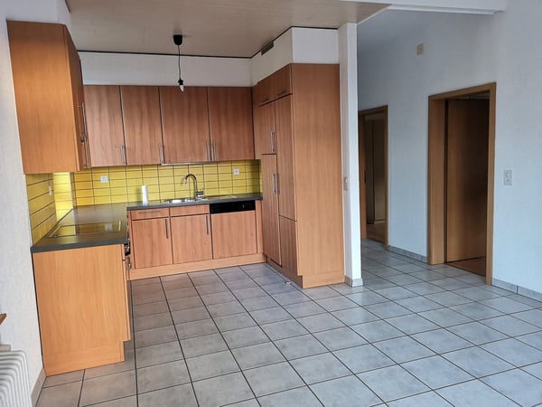 Magnifique maison individuelle ou plurifamiliale avec garage, places de parc, terrasses, jardin 32