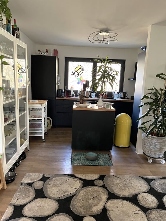 Baisse de prix : maison rénovée avec grand terrain, véranda, 2 terrasses, 2 garages 29