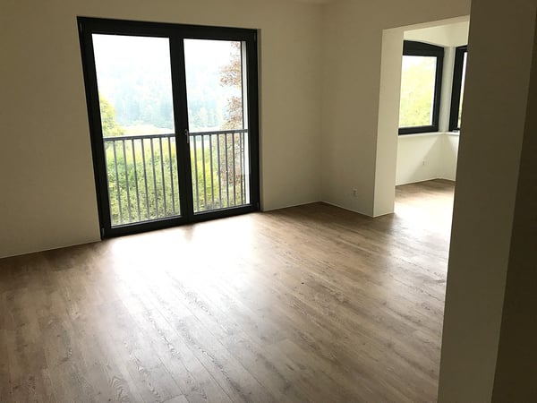 Baisse de prix : maison rénovée avec grand terrain, véranda, 2 terrasses, 2 garages 32
