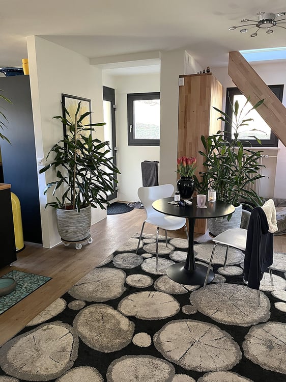 Baisse de prix : maison rénovée avec grand terrain, véranda, 2 terrasses, 2 garages 30