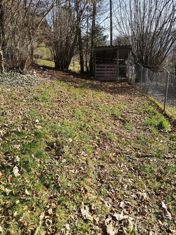 Baisse de prix : maison rénovée avec grand terrain, véranda, 2 terrasses, 2 garages 14