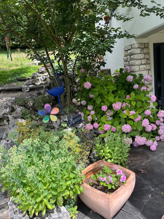 Baisse de prix : maison rénovée avec grand terrain, véranda, 2 terrasses, 2 garages 13