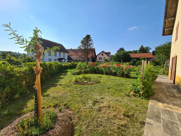 Spacieuse maison avec jardin, écurie, grange / Geräumiges Haus mit Garten, Stall, Scheune 7