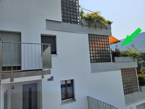 Spacieux appartement-terrasse de 5.5 pièces à Moutier avec vue dégagée, 2 garages 4