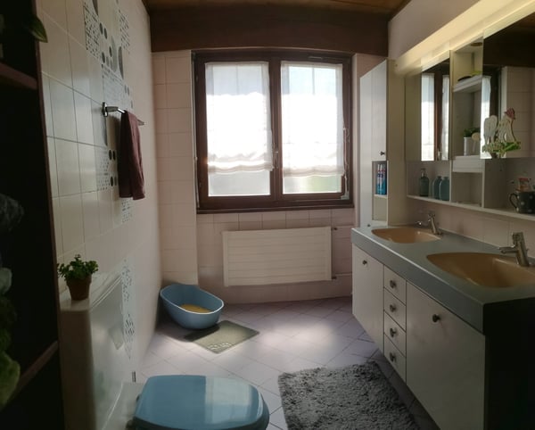 Spacieux appartement-terrasse de 5.5 pièces à Moutier avec vue dégagée, 2 garages 32