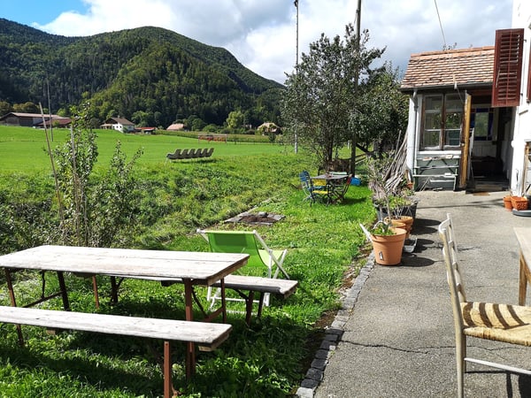 Maison multifonctionnelle avec 3 appartements, carnotzet et jardin 2