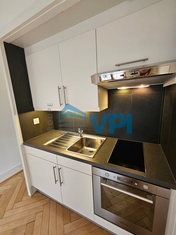 Eaux-Vives - Charmant appartement traversant de 1 pièces 4