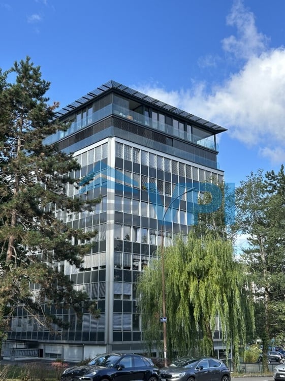 Au coeur de Champel - Bureaux de 280 m2 au 2ème étage 4