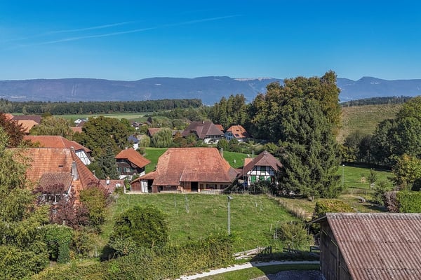 Bauland für Einfamilienhaus oder mehr! 8