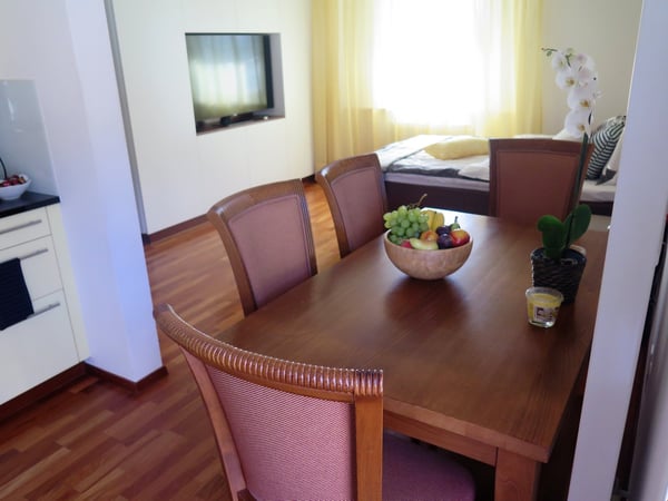 1 Zimmerwohnung mit Terrasse möbliert 3
