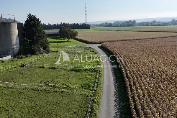 PFERDEHOF MIT PROJEKT FÜR 6 WOHNUNGEN 3