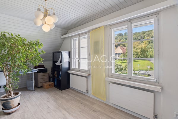 PFERDEHOF MIT PROJEKT FÜR 6 WOHNUNGEN 10