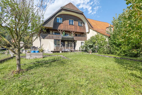 PFERDEHOF MIT PROJEKT FÜR 6 WOHNUNGEN 12