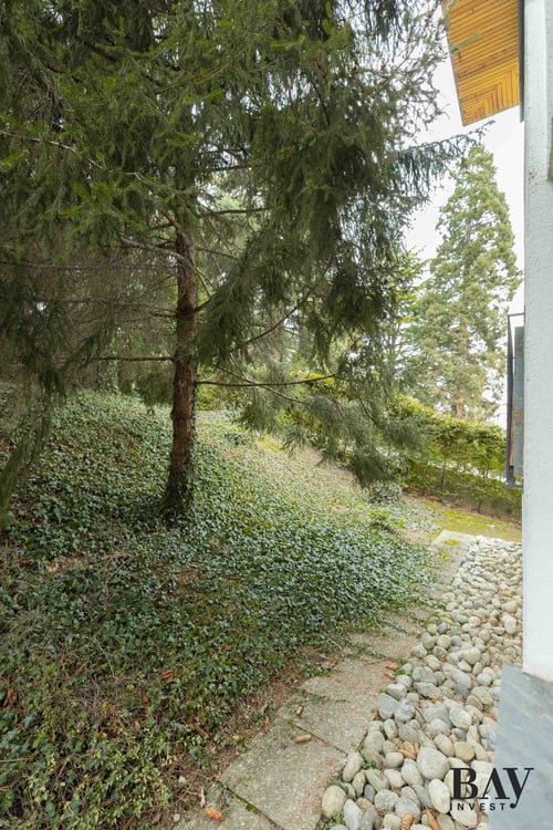 Rare, appartement de 1 1/2 totalement rénové dans le quartier de Gravelone 45