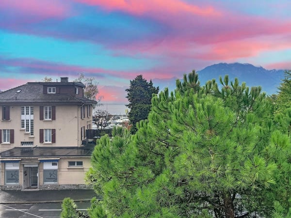 Magnifique appartement de 1.5 pièces avec cheminée à Clarens 13