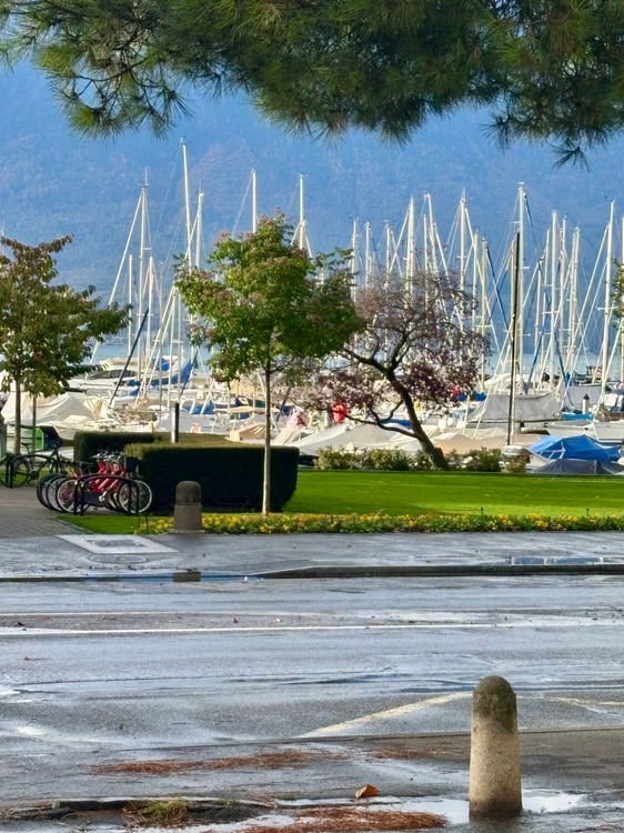 Magnifique appartement de 1.5 pièces avec cheminée à Clarens 11