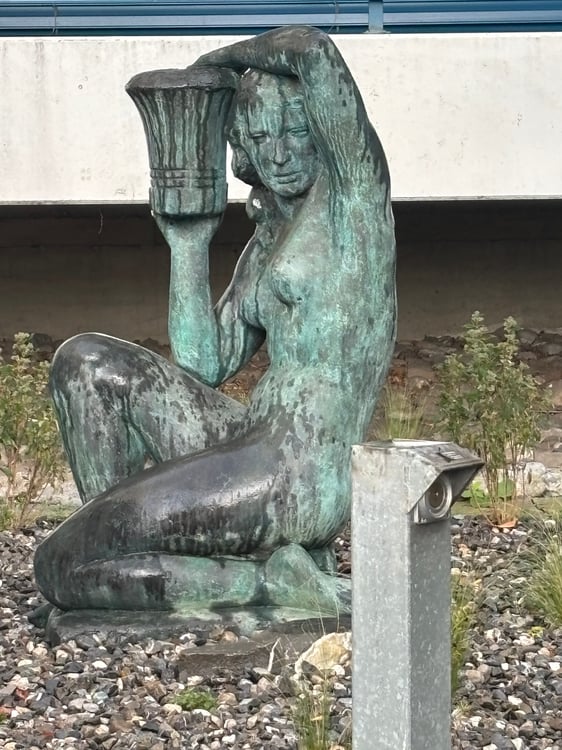 Magnifique appartement de 1.5 pièces avec cheminée à Clarens 21