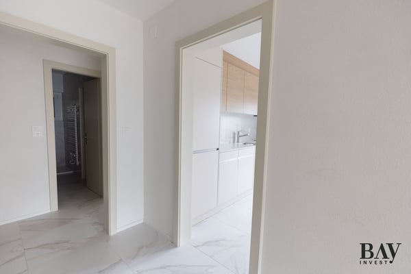 Rare, appartement de 1 1/2 totalement rénové dans le quartier de Gravelone 24