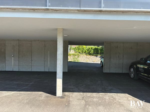 Dernier lot : 4 1/2 et 2 1/2 pièces (à vocation commerciale) 17