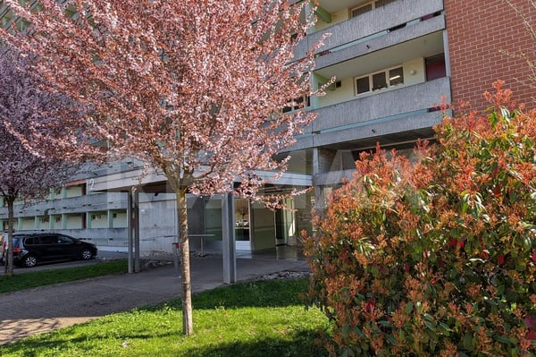 Grosszügige 6-Zimmer-Eigentumswohnung mit beeindruckender Weitsicht 2