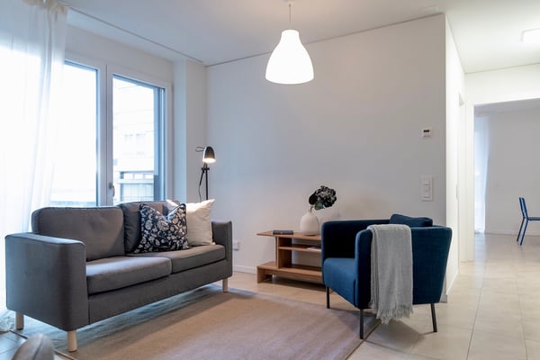 Calatea - 1.5 locale in posizione centrale a Chiasso 3