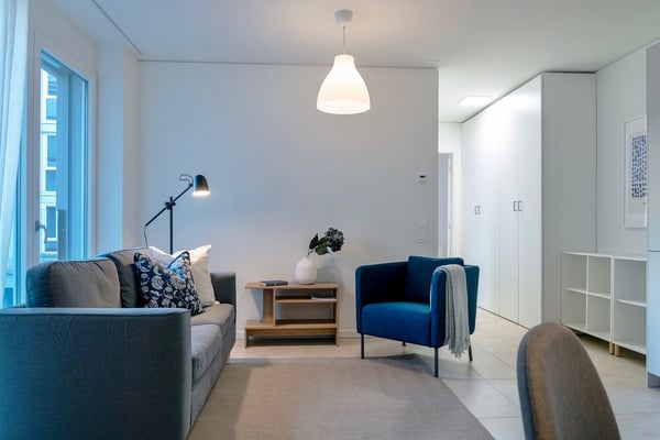 Calatea - 1.5 locale in posizione centrale a Chiasso 1