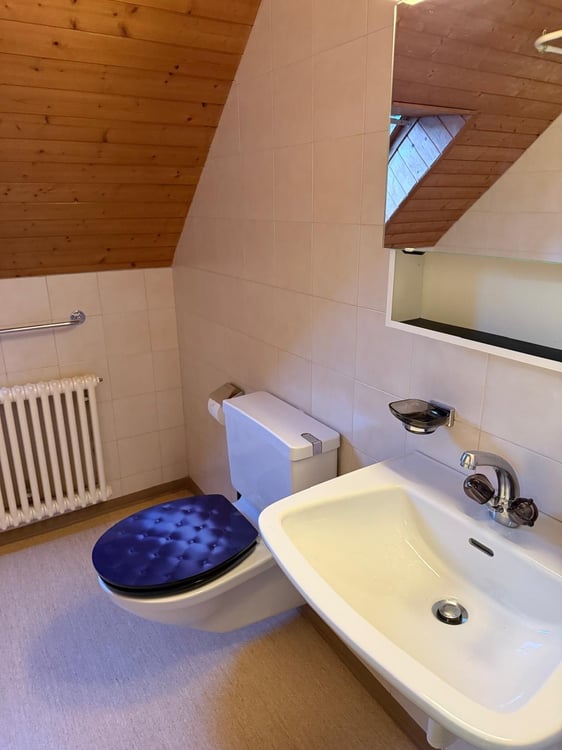 Charmante 1.5-Zimmer-Dachwohnung an der Krontalstrasse 5 in St. Gallen 6