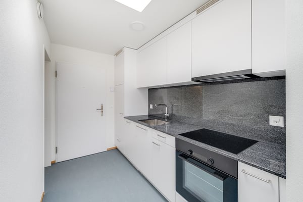 Modernes Attika-Studio mit grosser Terrasse und Alpenblick 3