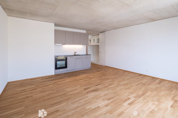 Perfekte Single Wohnung 1