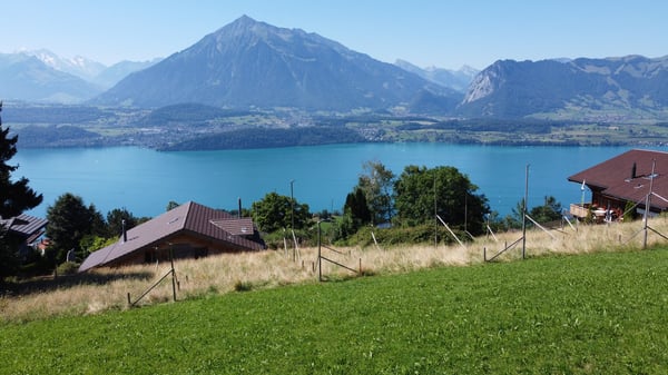 Neubau Dachgeschosswohnung mit atemberaubender Aussicht 4