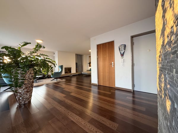 Magnifique attique (Penthouse) avec vue exceptionnelle sur les alpes suisses et lac de Neuchâtel 5