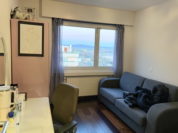 Magnifique attique (Penthouse) avec vue exceptionnelle sur les alpes suisses et lac de Neuchâtel 17