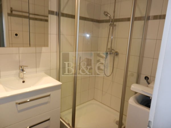 Appartement lumineux en centre-ville 3