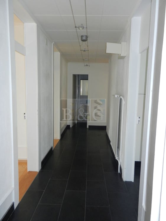 Appartement lumineux en centre-ville 7