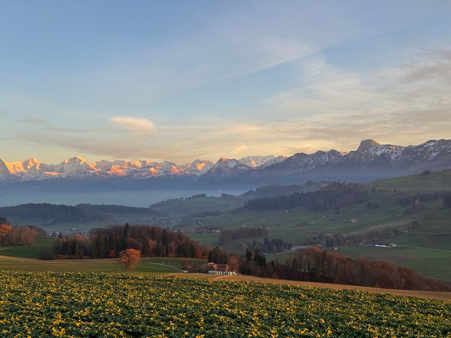 Immobilie in Rüeggisberg - Ankommen, wohlfühlen, zuhause sein – mit traumhafter Bergsicht - Bild 10