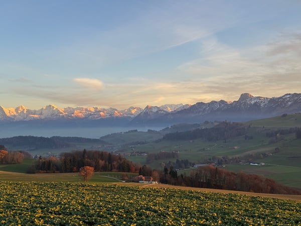 Ankommen, wohlfühlen, zuhause sein – mit traumhafter Bergsicht 11