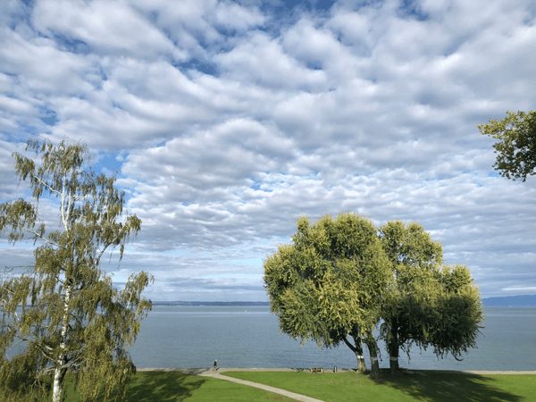 Wohnen am See - direkte Seesicht 7