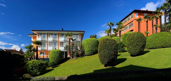 Ascona - Affittiamo bell'appartamento in collina 2