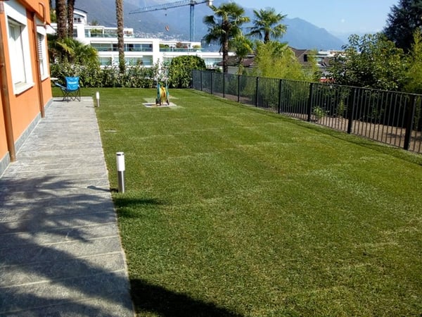 Ascona - Affittiamo bell'appartamento in collina 3