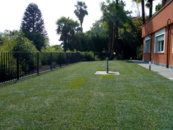 Ascona - Affittiamo bell'appartamento in collina 4