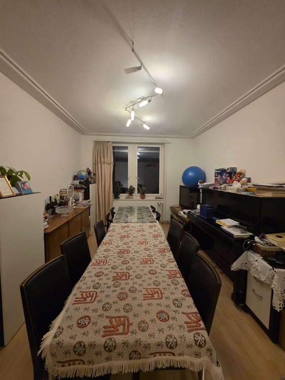 Originelle 1 Zimmer-Wohnung im Breitequartier nähe Rhein 2