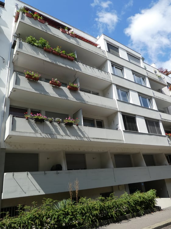 3 Zimmer-Wohnung Nähe Rhein zu vermieten 1