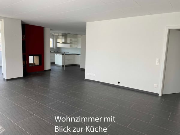 Seltene Gelegenheit: grosse, helle 1.5 Zimmer Attika Wohnung 7